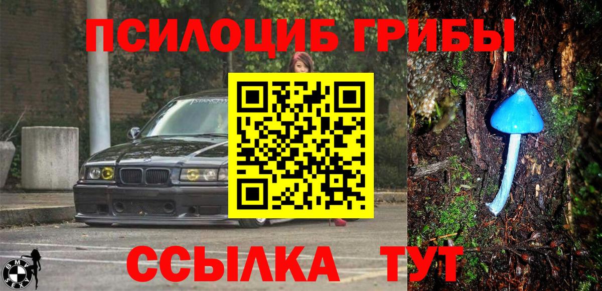 Галлюциногенные грибы прущие грибы Ишимбай